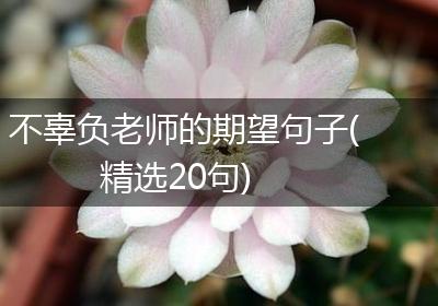 不辜负老师的期望句子(精选20句)