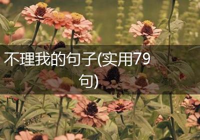 不理我的句子(实用79句)