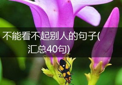 不能看不起别人的句子(汇总40句)