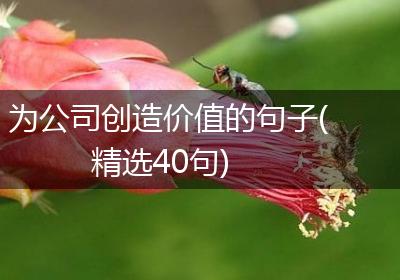为公司创造价值的句子(精选40句)