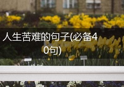 人生苦难的句子(必备40句)