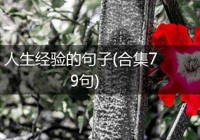 人生经验的句子(合集79句)