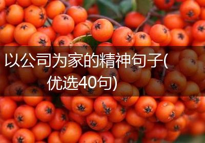以公司为家的精神句子(优选40句)
