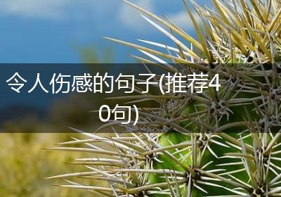 令人伤感的句子(推荐40句)
