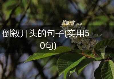 倒叙开头的句子(实用50句)