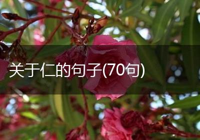 关于仁的句子(70句)