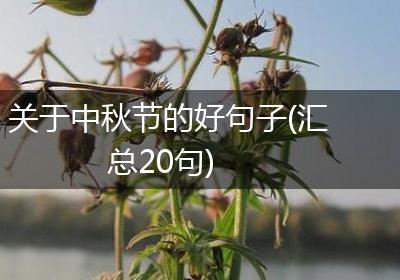 关于中秋节的好句子(汇总20句)