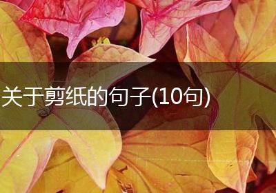 关于剪纸的句子(10句)