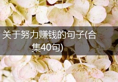 关于努力赚钱的句子(合集40句)