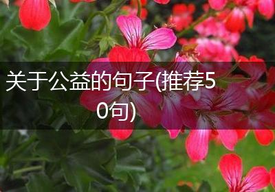 关于公益的句子(推荐50句)