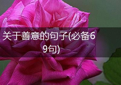 关于善意的句子(必备69句)