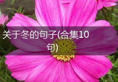 关于冬的句子(合集10句)