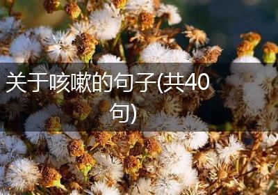 关于咳嗽的句子(共40句)