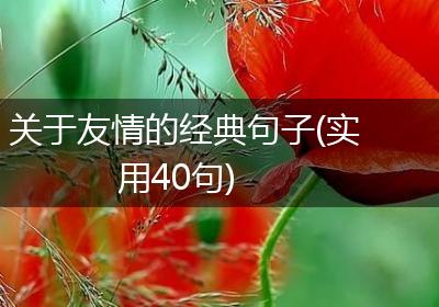 关于友情的经典句子(实用40句)