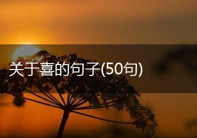 关于喜的句子(50句)
