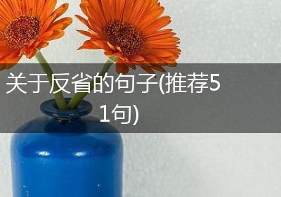 关于反省的句子(推荐51句)
