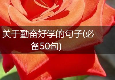 关于勤奋好学的句子(必备50句)