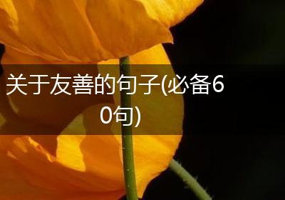 关于友善的句子(必备60句)