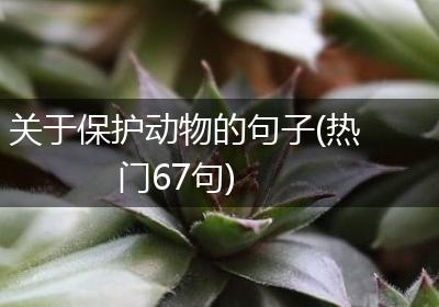 关于保护动物的句子(热门67句)