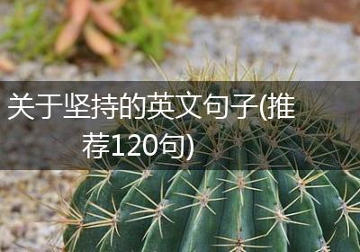 关于坚持的英文句子(推荐120句)