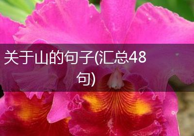 关于山的句子(汇总48句)