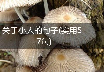 关于小人的句子(实用57句)