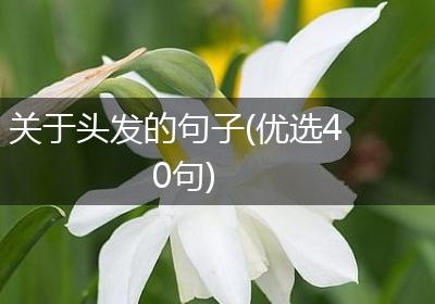 关于头发的句子(优选40句)