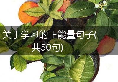 关于学习的正能量句子(共50句)