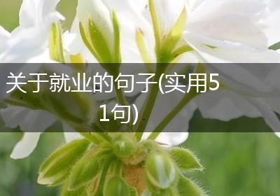 关于就业的句子(实用51句)