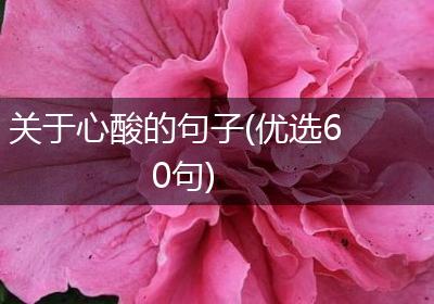 关于心酸的句子(优选60句)