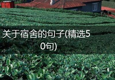 关于宿舍的句子(精选50句)