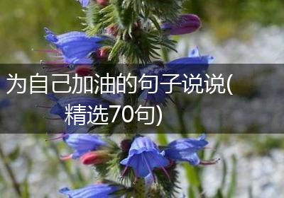 为自己加油的句子说说(精选70句)