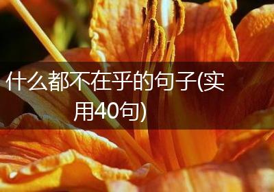 什么都不在乎的句子(实用40句)