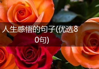人生感悟的句子(优选80句)