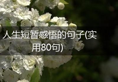 人生短暂感悟的句子(实用80句)