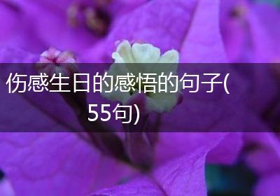 伤感生日的感悟的句子(55句)