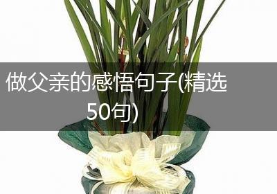 做父亲的感悟句子(精选50句)