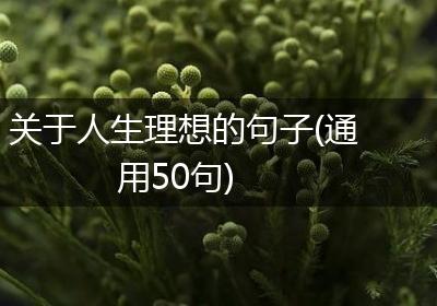 关于人生理想的句子(通用50句)
