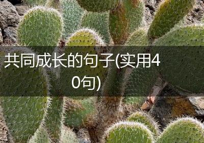 共同成长的句子(实用40句)