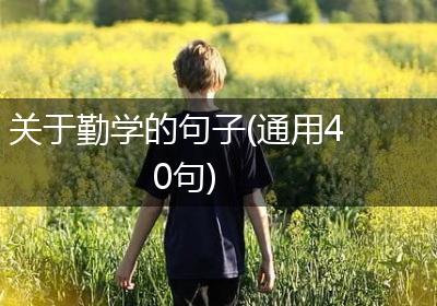 关于勤学的句子(通用40句)