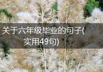 关于六年级毕业的句子(实用49句)