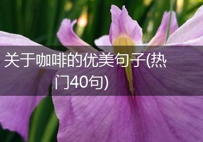 关于咖啡的优美句子(热门40句)