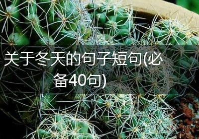 关于冬天的句子短句(必备40句)