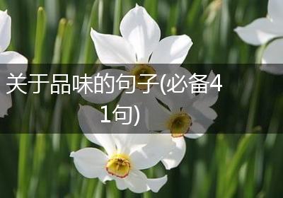 关于品味的句子(必备41句)