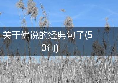 关于佛说的经典句子(50句)