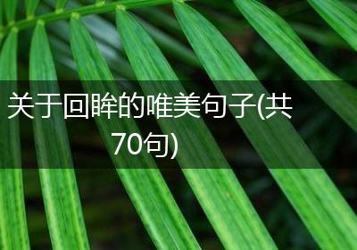 关于回眸的唯美句子(共70句)