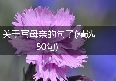 关于写母亲的句子(精选50句)