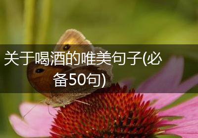 关于喝酒的唯美句子(必备50句)