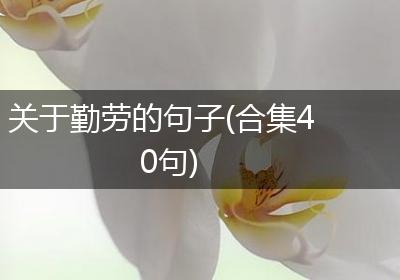 关于勤劳的句子(合集40句)