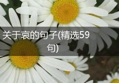 关于哀的句子(精选59句)